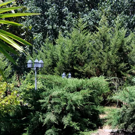 Complejo Rural La Coronilla Landhuis *