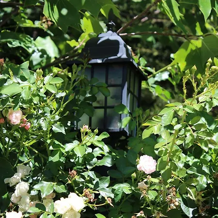 Complejo Rural La Coronilla Jarandilla de la Vera