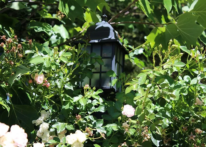 Complejo Rural La Coronilla Jarandilla de la Vera